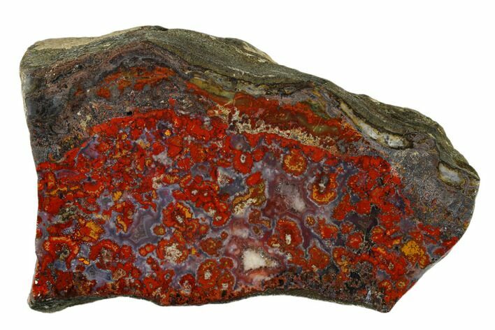 Polished Cruentus (Bloody) Agate Section - Kerrouchen, Morocco #187121